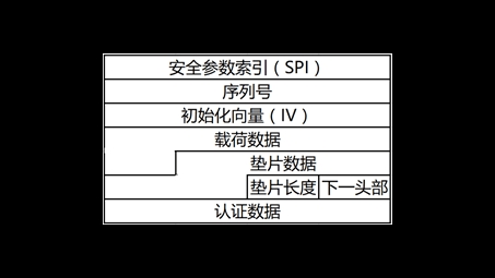 现代网络通信中ESP协议与VPN类型的关键解析