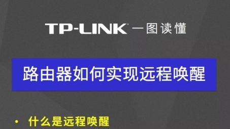 TP-Link路由器VPN连接指南，轻松远程访问全解析