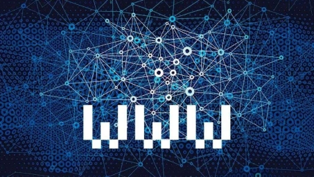 网络隐私保护，IP搜索与VPN的双重利器解析