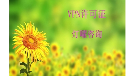 蓝灯VPN开启跨地域信息流通，畅游全球网络世界