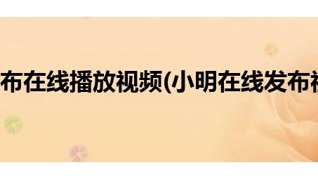 揭秘小明VPN官网，全方位网络安全一站式解决方案详解