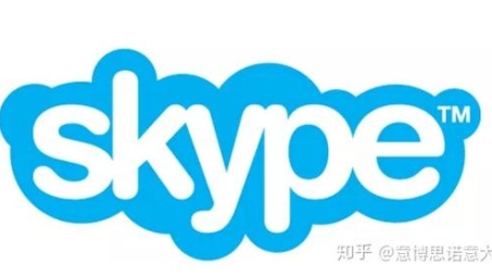 Skype面试攻略，VPN助你高效展现自我