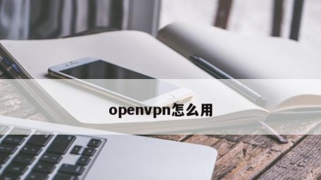 轻松上手，OpenVPN远程连接安全搭建中文教程