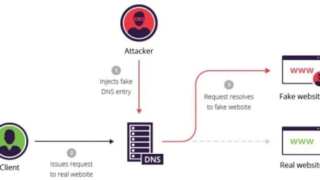 DNS污染应对策略，VPN助力网络双重安全防线