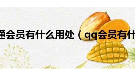 QQ会员VPN揭秘，揭秘隐藏功能与实操攻略