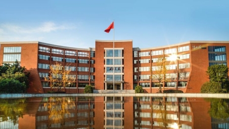 成都大学VPN，助力学子畅享学术网络，构建便捷学习平台