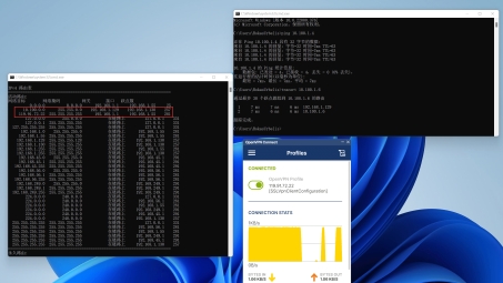 OpenVPN证书揭秘，安全连接的加密利器