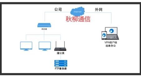 蒲公英VPN账号，开启网络自由之旅的密钥