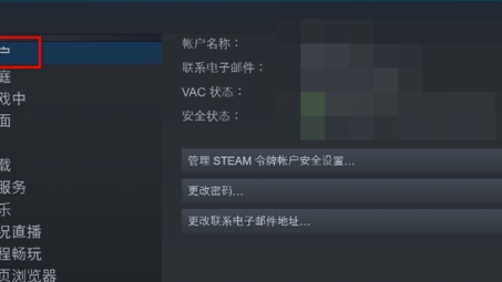 Steam游戏玩家网络安全新挑战，VPN与令牌使用揭秘