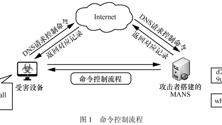 网络通信的双重守护，DNS与VPN的奥秘解析