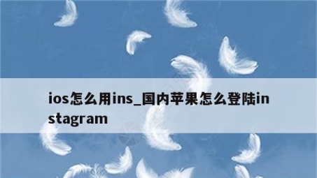 Instagram用户必看，iOS上安全VPN使用指南