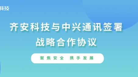 中兴力维VPN，企业远程接入的安全与便捷之道