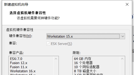 VMware Host VPN连接与性能优化指南