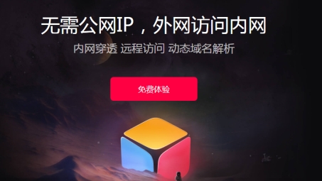 无VPN外网IP生活揭秘，畅享网络自由的安全之道