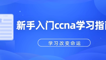 CCNA VPN核心知识点解析指南