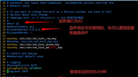 SSH与VPN，远程访问技术的全面对比与应用解析