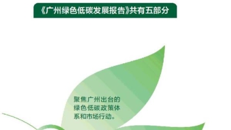 绿色网络边界之外，揭秘多维度VPN技术与实战应用