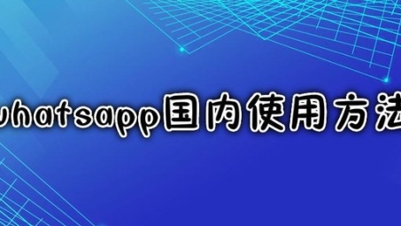 大陆用户WhatsApp安全指南，VPN技术助力现代通讯安全