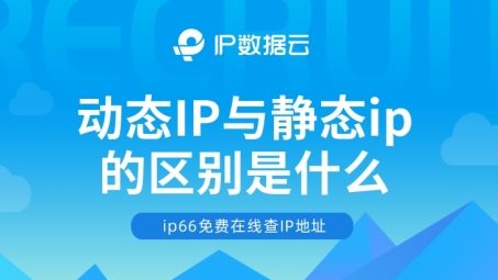 揭秘静态与动态IP及VPN，网络安全与隐私守护之道