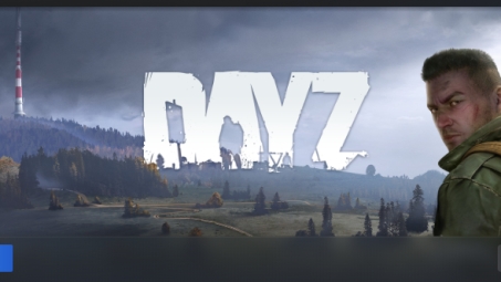 末日生存攻略，DayZ VPN技巧助你畅游虚拟世界