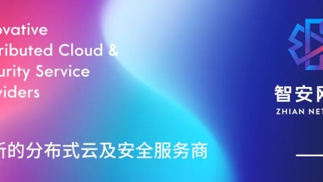 智雨VPN，网络安全与高效连接的守护神