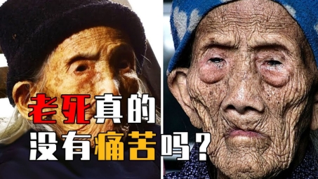 VPN账号揭秘，真实存在与获取指南