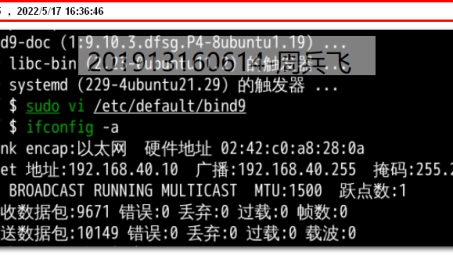 Linux系统VPN配置与DNS优化指南