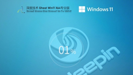 Win11 VPN实战攻略，提升网络安全与流畅度技巧全解析