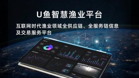 鱼摆摆VPN，技术革新与合规双轮驱动的审核先锋