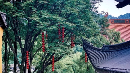 林影寺VPN探秘，神秘寺庙的网络隐秘空间