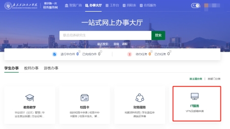 VPN费用揭秘，性价比大解析