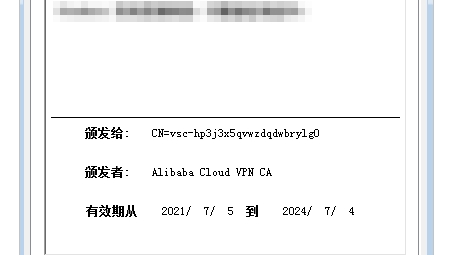 VPN连接中断原因解析与恢复技巧