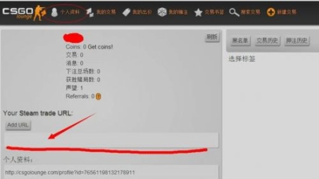 CSGO菠菜网VPN内幕，风险与机遇并行揭秘