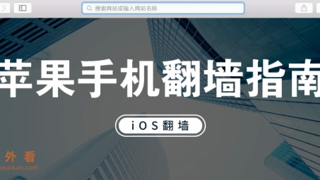 揭秘iOS VPN翻墙软件，网络自由的秘密利器深度解析