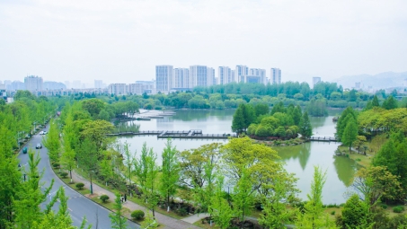 浙江农林大学VPN服务，学术研究助力，校园生活便捷新篇章