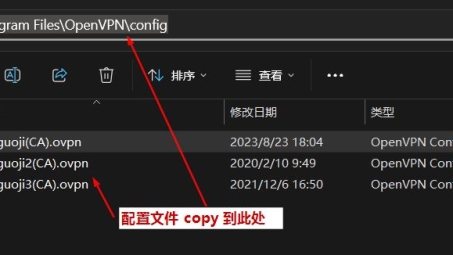 高效优化VPN连接，全面解析配置文件修改技巧