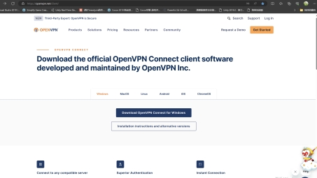 解决OpenVPN Connect无法添加VPN连接的五大原因及对策全解析