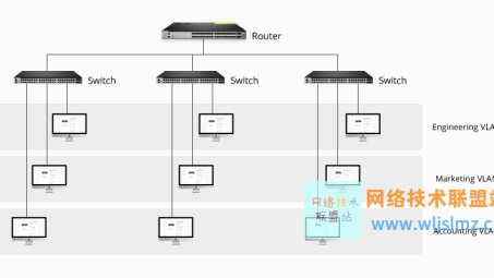 网络架构双星，VLAN与VPN功能与应用深度解析