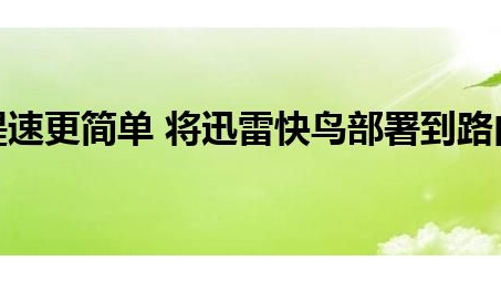 快鸟VPN官网深度解析，护航您的网络安全稳定