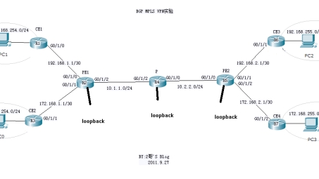 Recent Insights on MPLS VPN in English Academic Literature