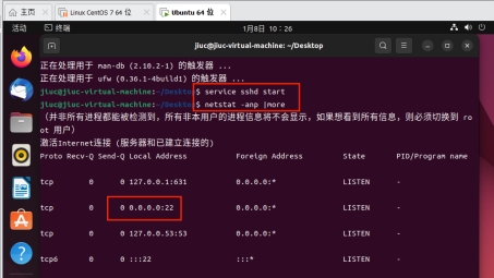 Linux系统SSH与VPN远程登录配置攻略