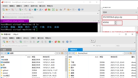 Linux系统下配置VPN访问内网地址指南