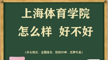 上海体育学院VPN服务，连接学子网络自由之旅的桥梁