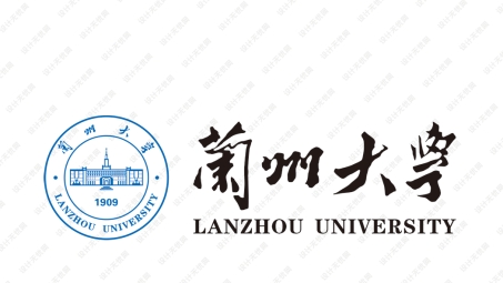 兰州大学VPN申请全攻略，轻松突破网络限制，畅游学术资源库