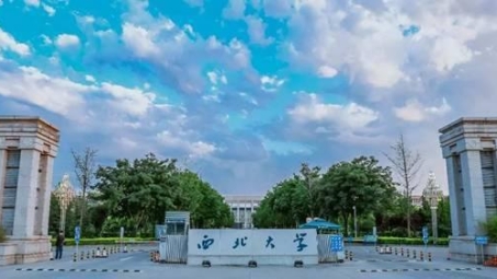 西北大学学子开启VPN网络探索之旅，全球视野拓展新篇章