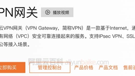 阿里VPN加速器，揭秘高效网络体验的秘密武器