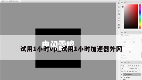 白鸽VPN深度体验，高效安全，畅享网络自由行