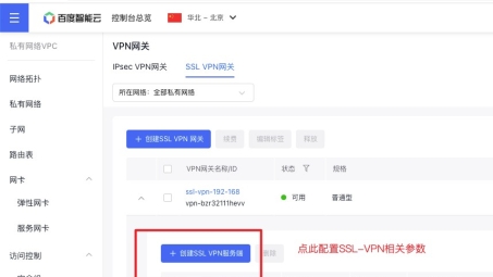 速云VPN快速上手指南，网络加速与安全防护一步到位