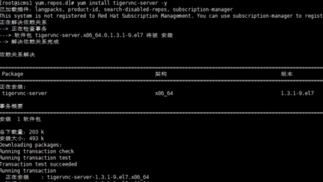 AWS Linux环境中配置VPN服务的详细指南