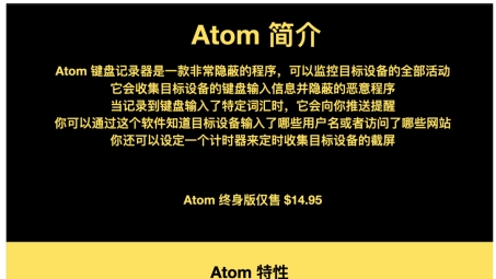 Atom VPN信息泄露疑云，安全性剖析与隐私保护揭秘